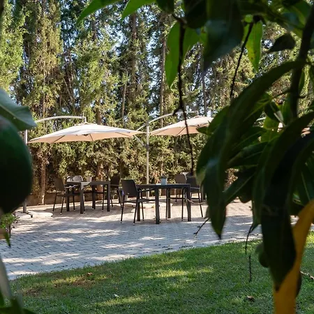 לינה וארוחת בוקר Manta Guest מנטה רוטה